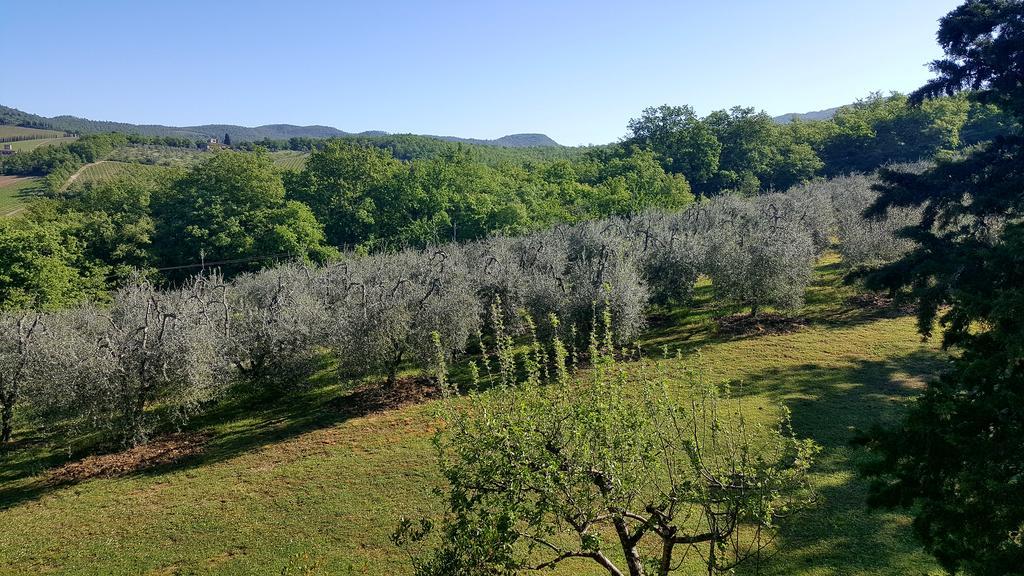 Holiday House Le Selvole 拉达因基安蒂 外观 照片